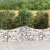 Kosze gabionowe, 8 szt, 200x50x60/80 cm, galwanizowane żelazo