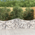 Kosze gabionowe, 20 szt, 200x50x60/80 cm, galwanizowane żelazo