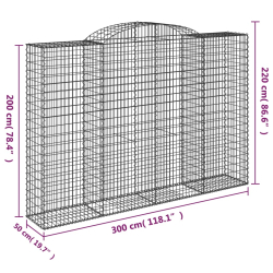 Kosze gabionowe, 2 szt, 300x50x200/220 cm, galwanizowane żelazo