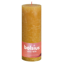 Bolsius Rustykalne świece pieńkowe Shine, 4 szt., 190x68 mm, miodowe