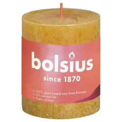 Bolsius Rustykalne świece pieńkowe Shine, 4 szt., 80x68 mm, miodowe