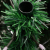 Sztuczna choinka zawiasowa ze stojakiem, zielona, 150 cm