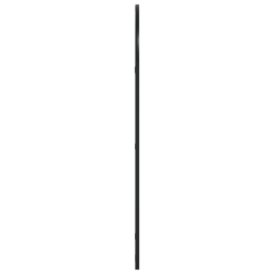 Lustro ścienne, czarne, 60x100 cm, zakończone łukiem, żelazo