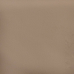 2-osobowa sofa z poduszkami, cappuccino, sztuczna skóra