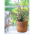 Home&Styling Zestaw 3 doniczek, lite drewno mango, naturalny kolor