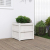 Donica ogrodowa, biała, 50x50x50 cm, lite drewno sosnowe