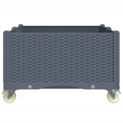 Donica ogrodowa na kółkach, szara, 100x80x54 cm, PP