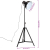Lampa stojąca, 25 W, czarna, 61x61x90/150 cm, E27