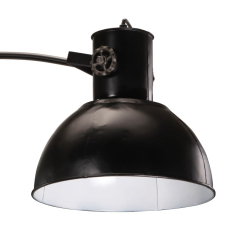 Lampa stojąca, 25 W, czarna, 150 cm, E27