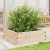 Donica ogrodowa, 70x70x23 cm, lite drewno sosnowe