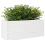 Donica ogrodowa, biała, 110x40x46 cm, lite drewno sosnowe