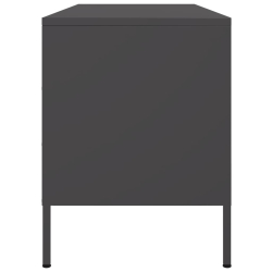 Szafka pod telewizor, czarna, 100,5x39x50,5 cm, stalowa