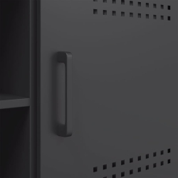 Szafka pod telewizor, czarna, 100,5x39x50,5 cm, stalowa