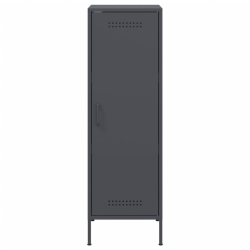 Szafka, antracytowa, 36x39x113 cm, stal