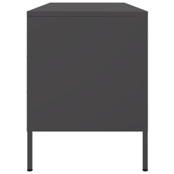 Szafka pod telewizor, czarna, 100,5x39x50,5 cm, stalowa