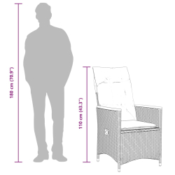 9-cz. zestaw mebli ogrodowych z poduszkami, szary, polirattan