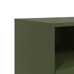 Szafka pod telewizor, oliwkowa, 68x39x60,5 cm, stalowa