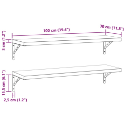 Półki ścienne, 2 szt., 100x30 cm, srebrna stal nierdzewna