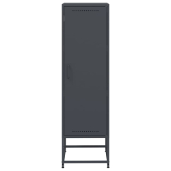 Szafka, antracytowa, 36x39x123 cm, stal