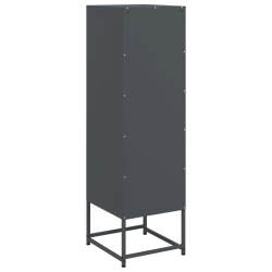 Szafka, antracytowa, 36x39x123 cm, stal