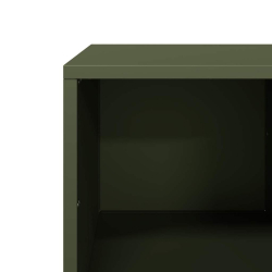 Stolik kawowy, oliwkowy, 101,5x50x43,5 cm, stal