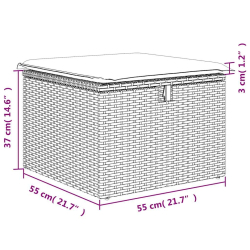 2-cz sofa ogrodowa z poduszkami, jasnoszary, rattan PE i akacja