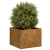 Doniczka Rusty 40x40x30 cm Stal nierdzewna