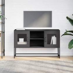 Szafka pod telewizor, czarna, 100,5x39x60,5 cm, stalowa