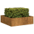 Doniczka Rusty 100x100x30 cm Stal nierdzewna