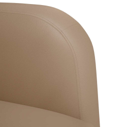 Sofa Fotel z Podłokietnikami Cappuccino 54 cm Skóra ekologiczna