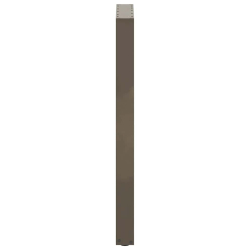 Nogi do stolika kawowego 2 szt. naturalna stal 50x(100-101) cm
