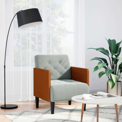 Sofa Fotel z Podłokietnikami Jasnoszary 55 cm Aksamit