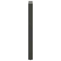 Nogi do stolika kawowego, antracyt, 2 szt., 60x(100-101) cm
