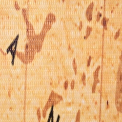 Składany parawan, 228x170 cm, mapa świata, żółty