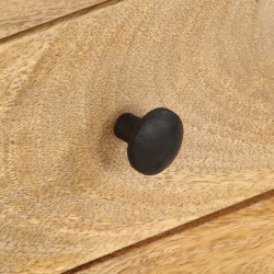 Szafka pod TV, 110 x 35 x 40 cm, lite drewno mango