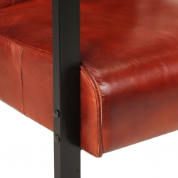 Fotel z prawdziwej, koziej skóry, 60x80x87 cm, ciemnobrązowy