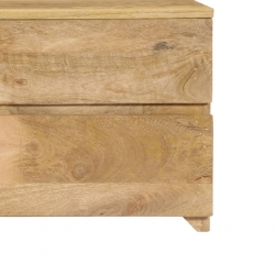 Szafka pod telewizor, lite drewno mango, 120 x 30 x 40 cm