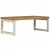 Stolik kawowy, 100x50x35 cm, lite drewno mango i stal