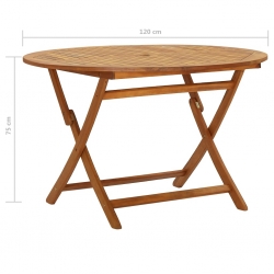 Składany stół ogrodowy, 120 cm, lite drewno akacjowe