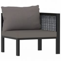 2-osobowa sofa ogrodowa z poduszkami, antracytowa, polirattan