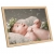 Ramki na zdjęcia, 10 szt., ścienne lub stojące, 18x24 cm