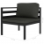 2-częściowa sofa z poduszkami, aluminium, antracytowa
