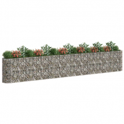 Podwyższona donica gabionowa galwanizowane żelazo 610x50x100 cm
