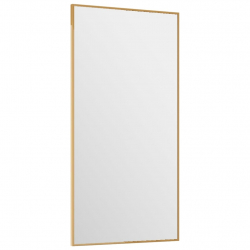 Lustro na drzwi, złote, 30x60 cm, szkło i aluminium