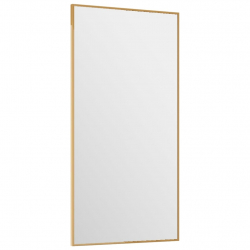 Lustro na drzwi, złote, 30x60 cm, szkło i aluminium