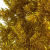 Smukła choinka, złota, 210 cm