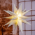 HI Świąteczna gwiazda z LED, 58 cm
