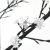 Drzewko z lampkami, 220 LED, zimny biały, kwiat wiśni, 220 cm