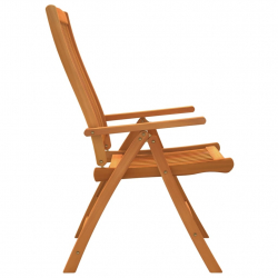 Składane krzesła ogrodowe, 2 szt., lite drewno eukaliptusowe