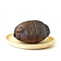 Kokos Dekoracja orzech kokosowy brązowy